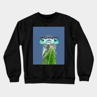 Blue-tailed Damselfly Crewneck Sweatshirt